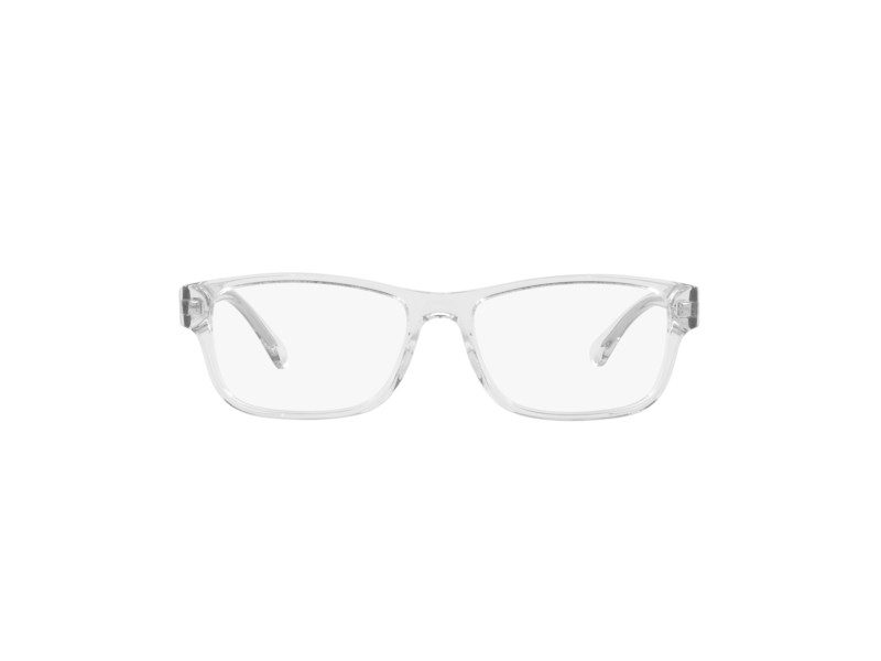 Emporio Armani EA 3179 5882 54 Men glasses
