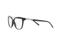 Emporio Armani EA 3190 5001 53 Women glasses