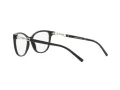 Emporio Armani EA 3190 5001 53 Women glasses