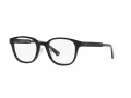 Emporio Armani EA 3216D 5017 49 Men glasses