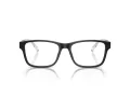Emporio Armani EA 3239 5017 55 Men glasses