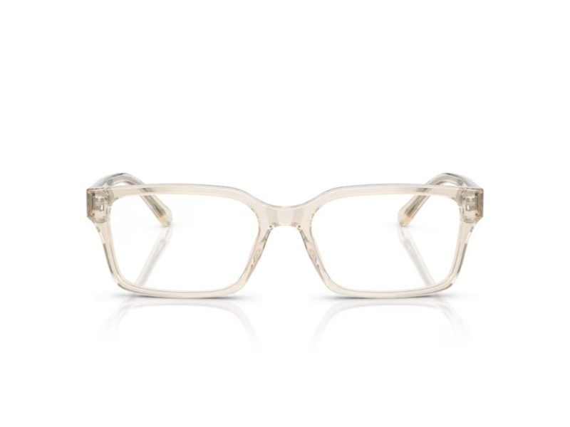 Emporio Armani EA 3244 6179 53 Men glasses
