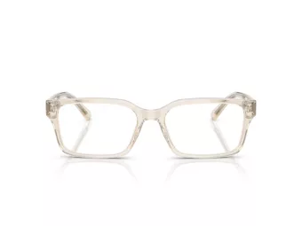 Emporio Armani EA 3244 6179 55 Men glasses