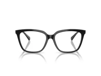 Emporio Armani EA 3248 5017 53 Women glasses