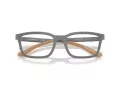 Emporio Armani EA 3255 6249 55 Men glasses