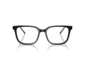 Emporio Armani EA 3258 5017 52 Men glasses
