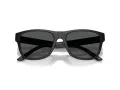Emporio Armani EA 3259 6261 56 Men glasses