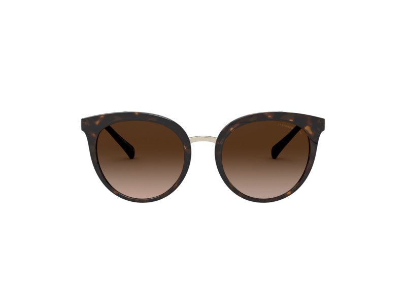 Emporio Armani EA 4145 508913 53 Women sunglasses