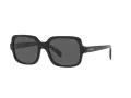 Emporio Armani EA 4195 501787 55 Women sunglasses