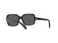 Emporio Armani EA 4195 501787 55 Women sunglasses