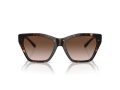 Emporio Armani EA 4203U 502613 55 Women sunglasses