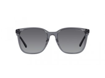 Emporio Armani EA 4206D 5029T3 57 Men sunglasses