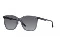 Emporio Armani EA 4206D 5029T3 57 Men sunglasses