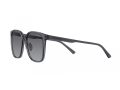 Emporio Armani EA 4206D 5029T3 57 Men sunglasses