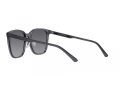 Emporio Armani EA 4206D 5029T3 57 Men sunglasses