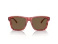 Emporio Armani EA 4208 605373 56 Men sunglasses
