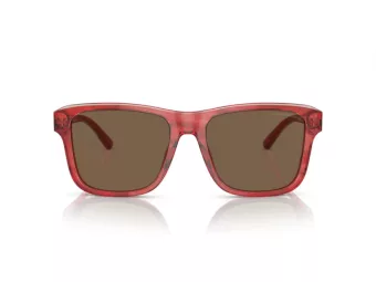 Emporio Armani EA 4208 605373 56 Men sunglasses