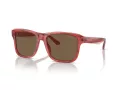 Emporio Armani EA 4208 605373 56 Men sunglasses
