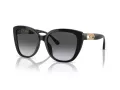 Emporio Armani EA 4214U 50178G 54 Women sunglasses