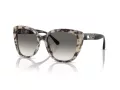 Emporio Armani EA 4214U 605811 54 Women sunglasses