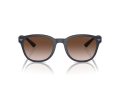 Emporio Armani EA 4225U 508813 53 Men sunglasses