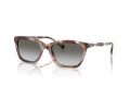 Emporio Armani EA 4238 61953C 54 Women sunglasses