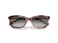 Emporio Armani EA 4238 61953C 54 Women sunglasses