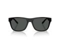 Emporio Armani EA 4243 5001T3 56 Men sunglasses