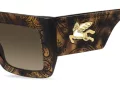 Etro ETRO 0108/S H7P/HA 52 Women sunglasses