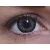 ColourVUE BigEyes Evening Grey (2 lenses)