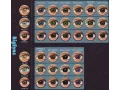 ColourVUE BigEyes Evening Grey (2 lenses)