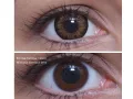 ColourVUE BigEyes Sweet Honey (2 lenses)
