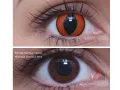 ColourVUE Crazy Mad Frog (2 lenses) - without dioptre