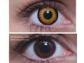 ColourVUE Crazy Orange Werewolf (2 lenses) - without dioptre