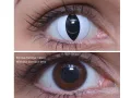ColourVUE Crazy Viper (2 lenses) - without dioptre