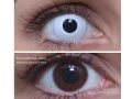 ColourVUE Crazy Whiteout (2 lenses) - without dioptre