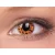 ColourVUE Crazy Yellow Leopard (2 lenses) - without dioptre