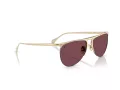 Ferrari FH 1016 106/1E 59 Men, Women sunglasses