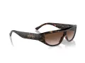 Ferrari FH 2004U 702/13 125 Men, Women sunglasses