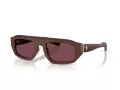 Ferrari FH 2010Q 729/1E 52 Men, Women sunglasses