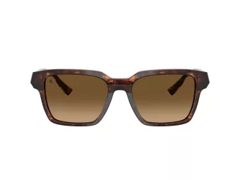 Ferrari FH 2011U 725/M2 55 Men, Women sunglasses