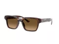Ferrari FH 2011U 725/M2 55 Men, Women sunglasses