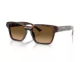 Ferrari FH 2011U 725/M2 55 Men, Women sunglasses