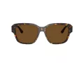 Ferrari FH 2016D 731/57 57 Men, Women sunglasses