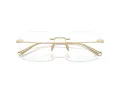 Ferrari FH 3003TD 302 57 Men, Women glasses