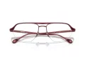 Ferrari FH 3005 120 55 Men, Women glasses