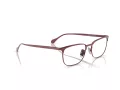 Ferrari FH 3006 120 54 Men glasses