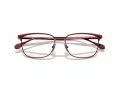 Ferrari FH 3006 120 56 Men glasses
