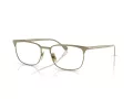 Ferrari FH 3006 122 54 Men glasses