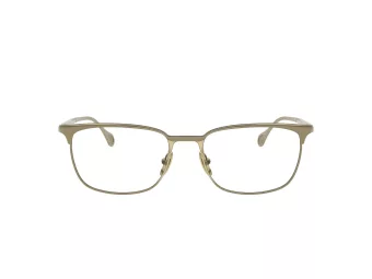 Ferrari FH 3006 122 56 Men glasses